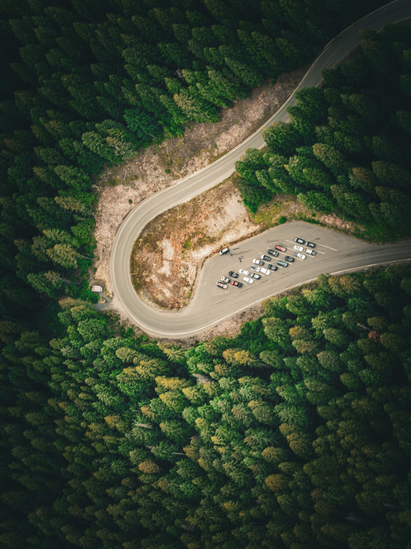 Aerial view of a winding road through a Pacific Northwest forest